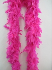 Hot Pink Feather Boa - Costume Accessories